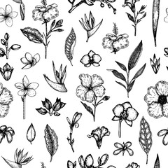 Vector seamless pattern of tropical flowers isolated on white background. Hand drawn floral background. Floral graphic black and white repeating ornament. Tropic design elements. Line shading style