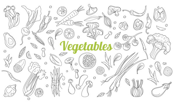 Linear graphic. Vegetables background. Scandinavian style. Healthy food. Vector illustration. Hand drawn fruits and vegetables doodle set.