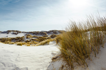 White sand coastal dunes with marram grass