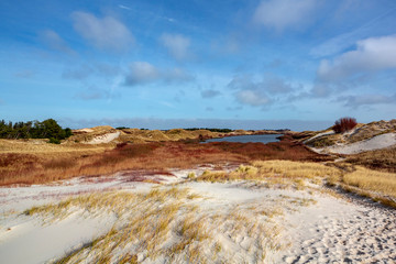 Sand dunes with red and beige marram grass