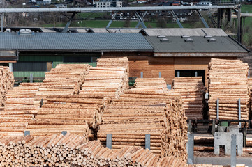 Stock timber in saw mill.
