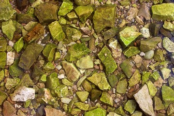 Sea pebbles and green colored from algae small stone gravel at the bottom of the sea over the clear transparent surface