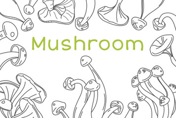 Mushroom hand drawn vector frame. Isolated Sketch organic food drawing template.