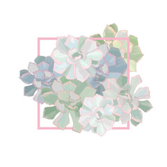 Echeveria.Succulents with a pink shade. Houseplants. Ornamental plants. Succulent icon.