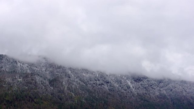 the breath of the mountains. top with snow-covered forest in fog and clouds. cloudy, curly clouds and fog in the mountains rise up. time lapse video 4K. timelapse. stock video footage