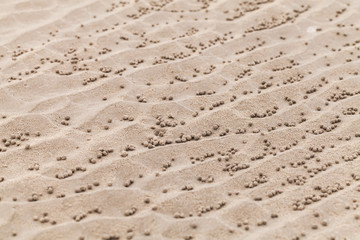 Fototapeta na wymiar Small balls of sand pattern