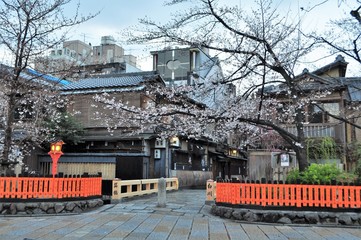 京都祇園　白川の風景