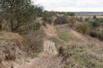 Abstract landscape with trees and hills in spring