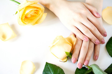 Beautiful manicured woman's nails with pink polish isolated. Nails care. Manicure, pedicure beauty salon. Beautiful rose yellow blossoms.