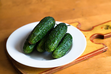 fresh green cucumber on a plate on table