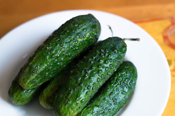 fresh green cucumber on a plate on table