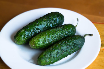fresh green cucumber on a plate on table