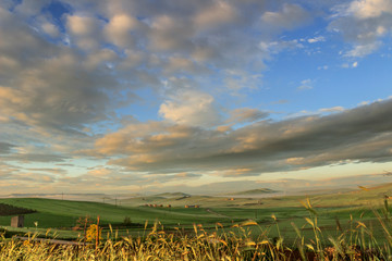 SPRINGTIME. Between Apulia and Basilicata. Hilly landscape with corn field immature dominated by clouds. ITALY. 