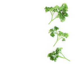 Parsley vegetable isolated on white background