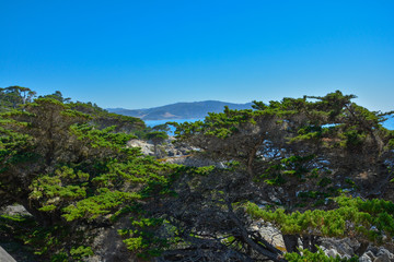 Fototapeta na wymiar The view of cypress hills from 17 mile road in california coast