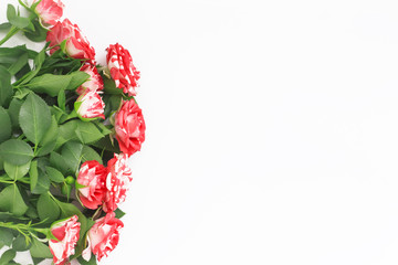 flat layout ,beautiful roses on white background with copy space top view