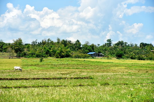 Santiago city, Isabela, Philippines skyline from and around Dariok hill at the day, top of the hill
