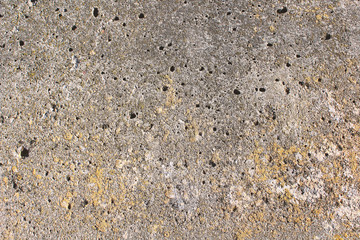 Old gray concrete slab. Close-up. Background. Texture.