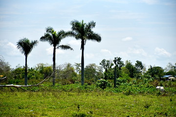 Santiago city, Isabela, Philippines skyline from and around Dariok hill at the day, top of the hill