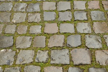 Wet cobbled road