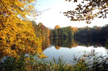Boitzernburg, Tiergarten