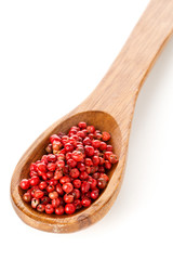 Pink or rose brazilian red peppercorns (schinus terebinthifolius) in wooden spoon over white