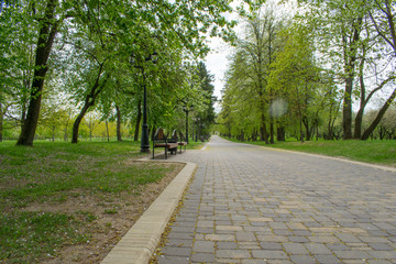 tracks in spring park landscape against blue sky