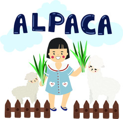 Fototapeta premium the girl feed alpaca with grass