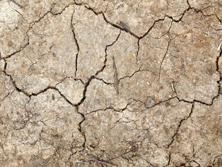 cracked clay texture