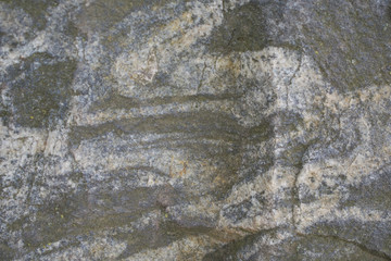 Gray cement surface for background Concrete wall