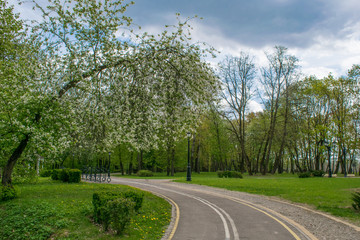 tracks in spring park landscape against blue sky