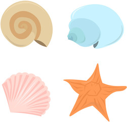 Set of seashells and  starfish. Elements of summer, beach design.
