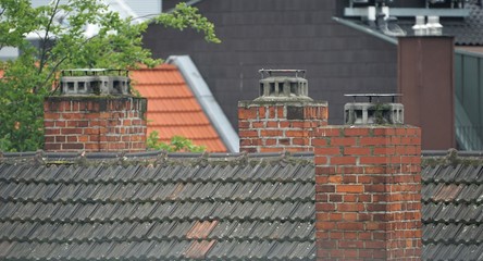 Fototapeta premium rooftops with brick chimneys and a green tree in between
