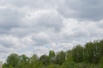 spring landscape river forest trees against a blue sky