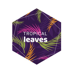 Tropical summer leaves, colorful background with copy space