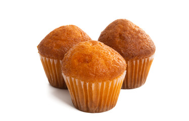 small cupcakes isolated