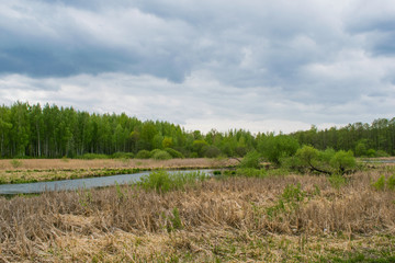Obraz premium spring landscape river forest trees against a blue sky
