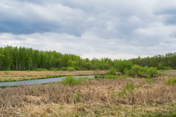 Obraz premium spring landscape river forest trees against a blue sky