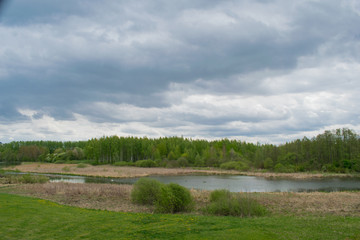 spring landscape river forest trees against a blue sky