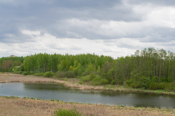 spring landscape river forest trees against a blue sky