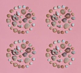 collection of rare seashells for sale. gift from the sea. top view photo