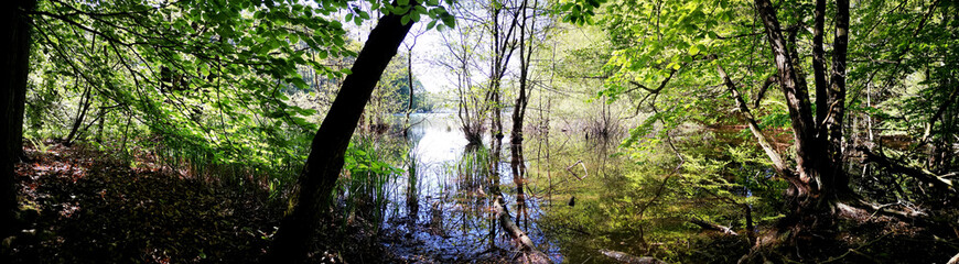Waldsee
