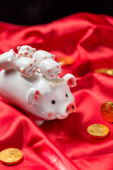 Gold ingots and couplets with the word "fu" printed on them, as well as gold COINS with the word "good luck" printed on them