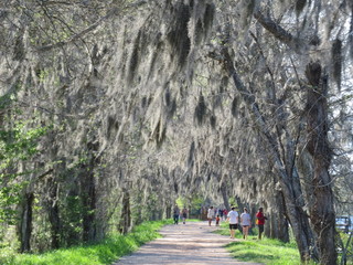 A view of Brazos Bend State Park near Houston, Texas