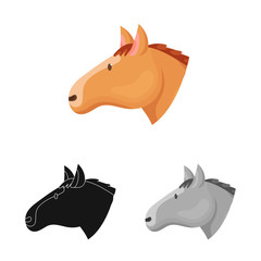 Vector illustration of horse and face  sign. Collection of horse and pet  vector icon for stock.
