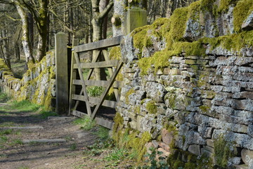 Old Wall at Otley Water Park, Yorkshire