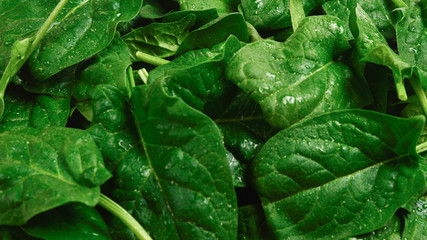 Fresh spinach leaves as background.
