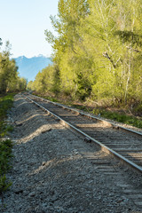 Fototapeta premium single railroad track pass through forest with green trees on both sides and mountain range on the background