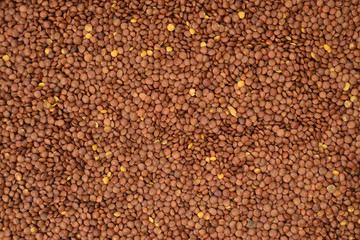 Lentils as a background. Top view.