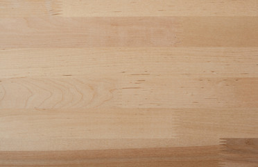 Birch wood texture